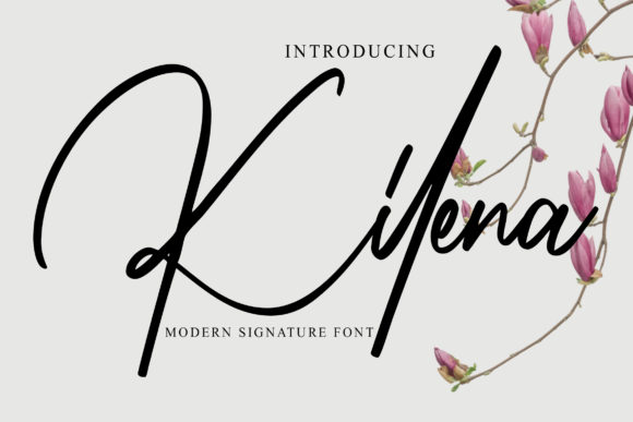 Kilena Font: Sweet Script for Creative Projects