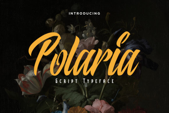 Polaria: A Stylish Handwritten Font